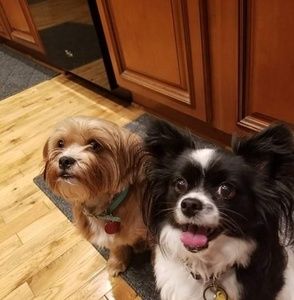 Meet your Posher, Mindy